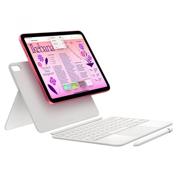 Apple iPad 10.9" (2022) Wi-Fi 256GB Pink