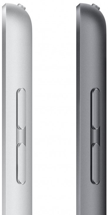 Apple iPad 10.2" (2021) Wi-Fi 256GB Space Gray